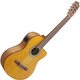 Ibanez GA3ECE-OAM Open Pore Amber 4/4