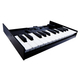 Clavier Roland K-25M