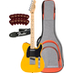 Fender Standard Telecaster Butterscotch Blonde Set