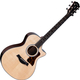 Taylor Next Generation 312ce (2026)