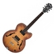 Ibanez AF55-TF  - Retoure (Zustand: sehr gut)