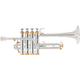 Cerveny CTR 8018RSG Trompeta Piccolo Bb/A Senator