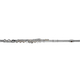 Flauta Transversal Di Zhao 701 RCE