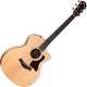 Taylor 214ce-K   - Retoure (Zustand: sehr gut)