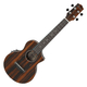 Ukulélé Concert Ibanez UEW13MEE-DBO