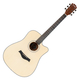 Rocktile WSD-101C NT Guitare Western