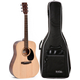 Ditson D-10 Natural Satin Set