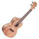 Kala KA-CEM Exotic Mahogany Concert