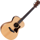 Taylor Academy 12e