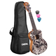Cascha Art Series Concert Ukulele Sketch