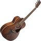 Ibanez AC340-OPN