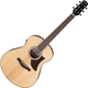 Ibanez AAM100E-NT Natural High Gloss