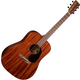 Martin Guitar D-15E