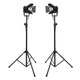 Eurolite LED THA-20PC TRC Theater Spot Black Video Light Pair Set