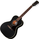 Gibson L-00 Special Satin Ebony