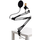 Pronomic CM-100BG Radioshow Bundle incl. Popschutz zwart & microfoonarm