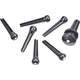 Planet Waves Bridge Pins Black Dot