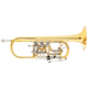 Lechgold CTR-19L C Concert Trumpet