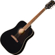 Epiphone Hummingbird Tribute Ebony