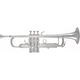 Bach 170S-43GY ML Bb Trompete versilbert