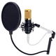 Pronomic CM-100BG Microphone Studio à Grande Membrane & Anti-pop