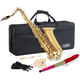 Classic Cantabile Youngstar AS-420 Children’s Alto Saxophone