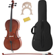 Classic Cantabile CP-100 Ensemble Violoncelle 1/2