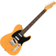 Fender American Professional Classic Hotshot Telecaster Butterscotch Blonde