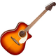Fender California Deluxe Newporter Sienna Sunburst