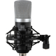 Pronomic CM-22 Large-Diaphragm Microphone incl. Shock Mount & Windshield