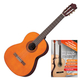 Set Guitare Classique Yamaha C40 avec École