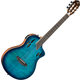 Ortega TourPlayer Deluxe Acero
