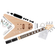 Rocktile Electric Guitar Kit FV-Style