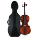 Classic Cantabile Brioso Cello Set 3/4