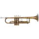 Lechgold TR-16V Trompeta Bb antigua