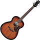 Ibanez AAM140E-MHS Mahogany Sunburst High Gloss