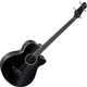 Classic Cantabile AB4-20CE-BK Basse Acoustique Noire
