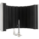 Pronomic MP-60 Micscreen