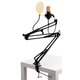 Pronomic CM-100BG Radioshow Bundle incl. Popschutz goud & Mikrofoonarm