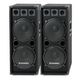 McGrey DJ-2222 Pareja de Altavoces para Sala de Fiestas/DJ 2 x 1000W