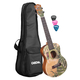 Cascha Art Series Tenor Ukulele Leafy