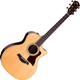 Taylor 414ce Studio Natural