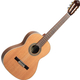 Ortega R20GSNWN Traditional Series 4/4 Guitare Classique