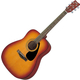 Yamaha F310 TBS Tobacco Brown Sunburst