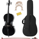 Classic Cantabile CP-100BK 4/4 Cello Set Black