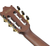 Ibanez GA35TCE-NT 4/4 Konzertgitarre Natural High Gloss  - Retoure (Zustand: sehr gut) thumbnail 10
