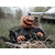 Europalms Halloween bewegte Kürbis-Monster Figur thumbnail 10
