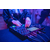 Denon DJ Prime GO  - Retoure (Zustand: sehr gut) thumbnail 10