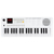 Classic Cantabile MINI-37 Keyboard weiß-grau thumbnail 10