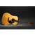 Martin Guitar DE-Retro Plus Mahogany  thumbnail 10